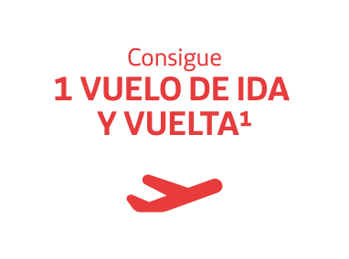 Condigue un vuelo de ida y vuelta